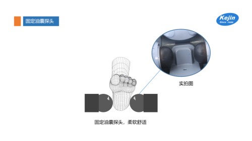 固定油囊探頭